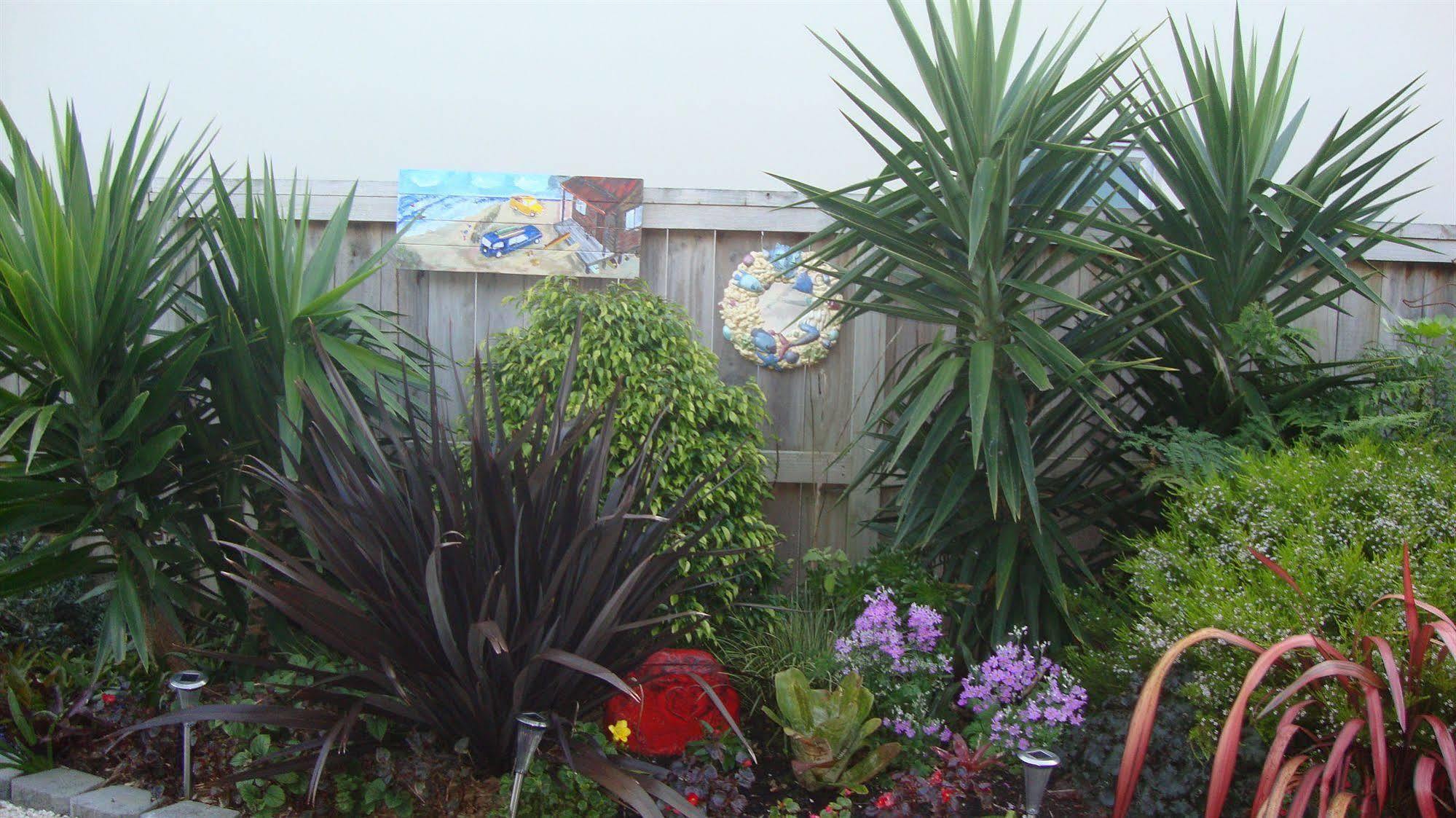 Stunning Views Bed, Breakfast & Health Retreat Bed & Breakfast Whangamata Exterior photo